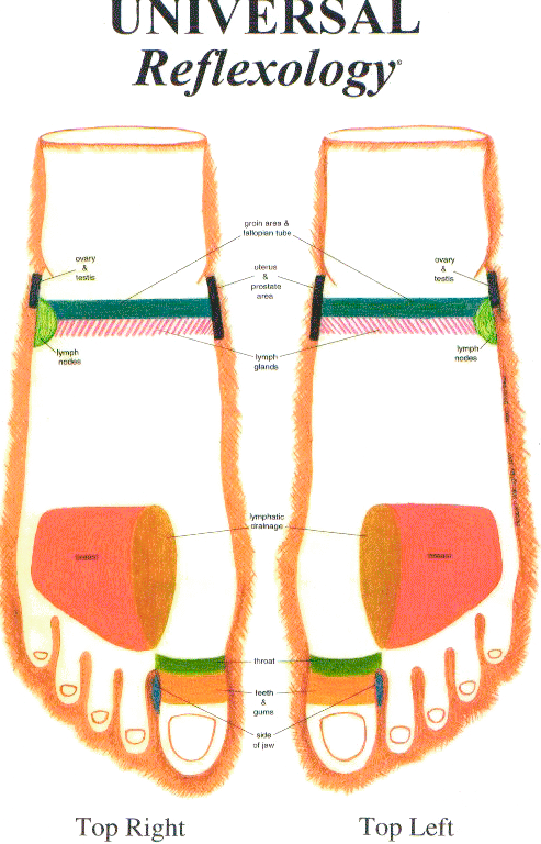 Top Of Foot Reflex Chart