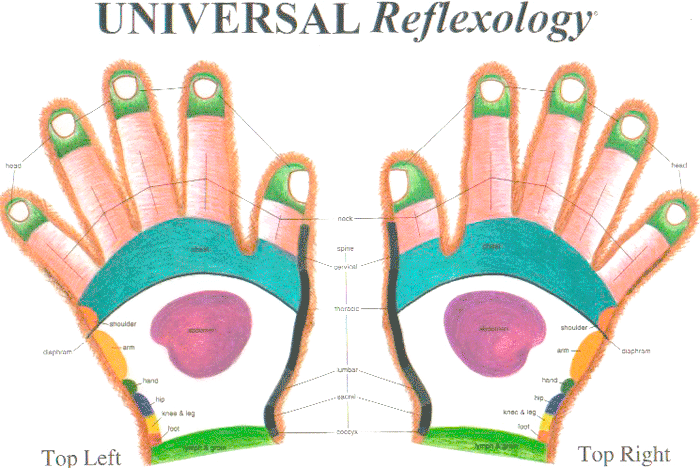 Top Of Hand Reflexology Chart